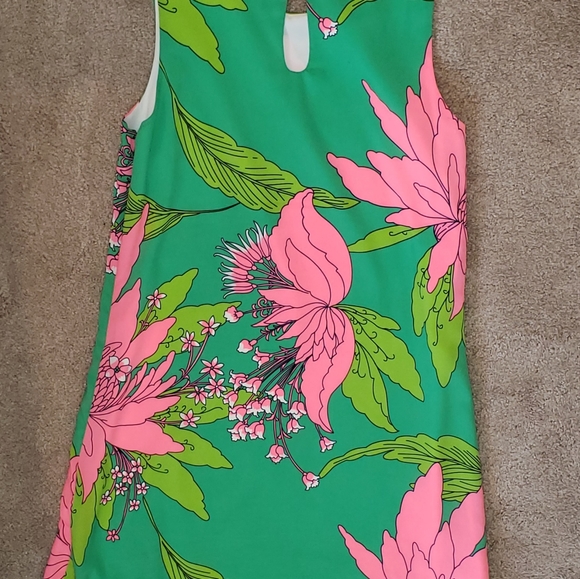 SUMMER BRIGHT JULIE BROWN SHIFT DRESS - Picture 2 of 13
